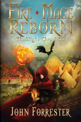 Cover of Fire Mage Reborn