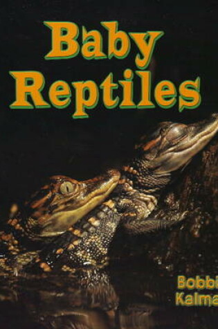 Cover of Baby Reptiles