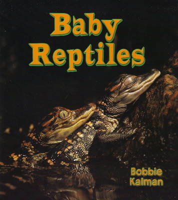 Book cover for Baby Reptiles