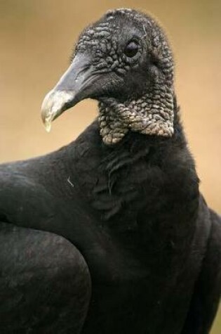 Cover of Portrait of a Black Vulture Journal