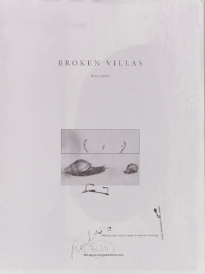 Book cover for Broken Villas