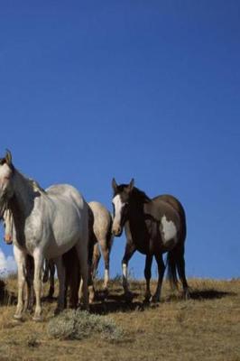 Book cover for Journal Standing Horses Western Pasture Equine