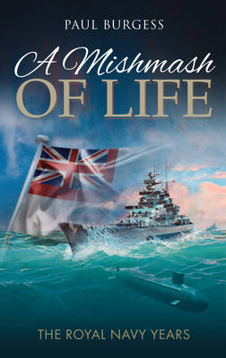 Book cover for A Mishmash of Life