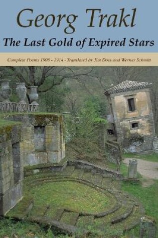 Cover of The Last Gold of Expired Stars