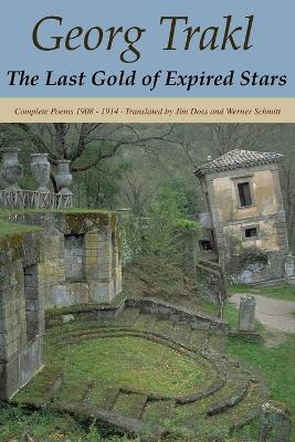 Book cover for The Last Gold of Expired Stars