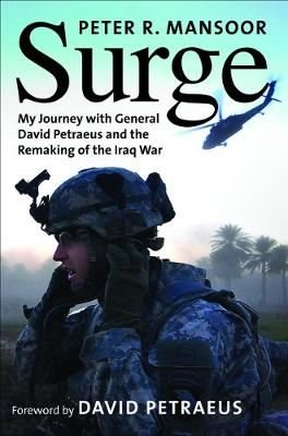 Book cover for Surge