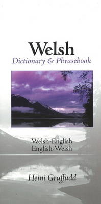 Book cover for Welsh - English / English - Welsh Dictionary And
