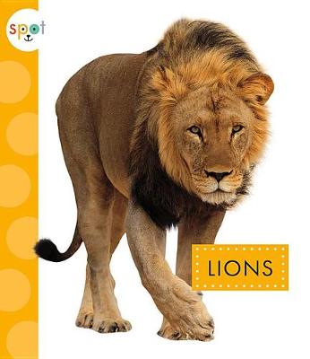 Book cover for Lions