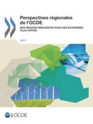 Book cover for Perspectives Regionales de L'Ocde 2011