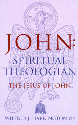 Book cover for John