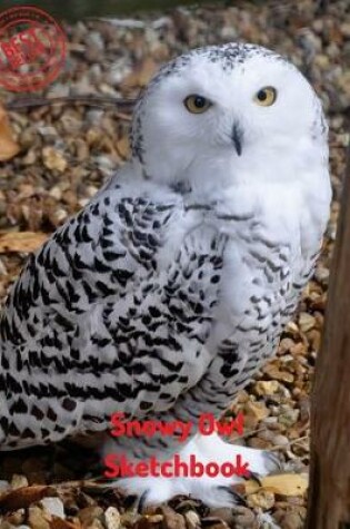 Cover of Snowy Owl Sketchbook