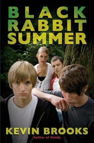 Cover of Black Rabbit Summer