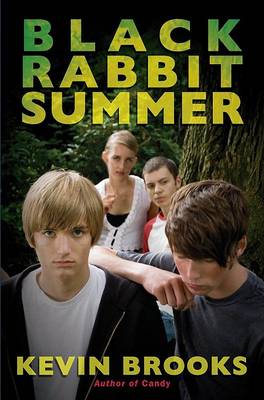 Book cover for Black Rabbit Summer