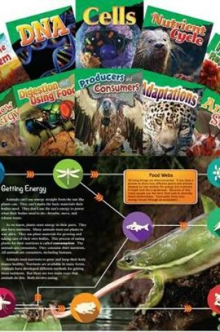 Cover of Let's Explore Life Science Grades 4-5, 10-Book Set