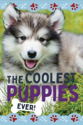 Cover of The Coolest Puppies