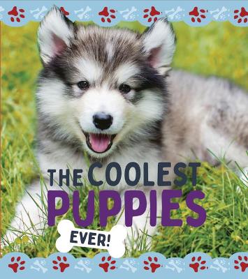 Book cover for The Coolest Puppies