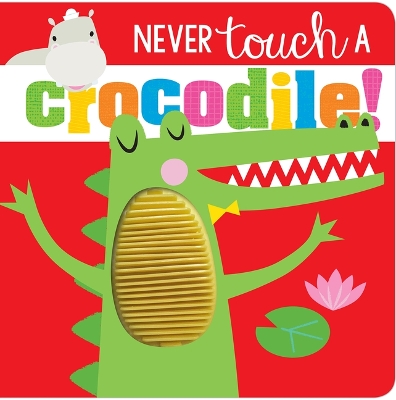 Book cover for Never Touch Never Touch a Crocodile