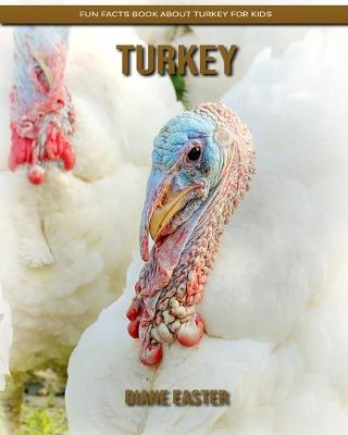 Book cover for Turkey