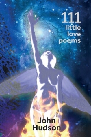 Cover of 111 Little Love Poems