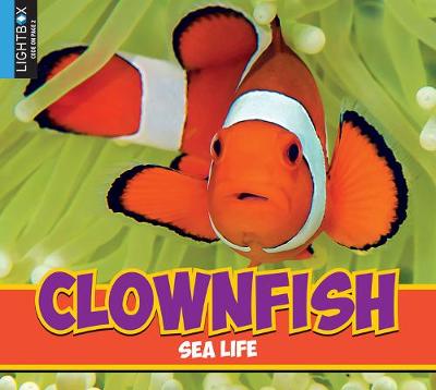 Book cover for Clownfish