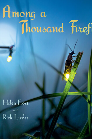 Cover of Among a Thousand Fireflies