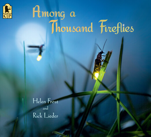 Book cover for Among a Thousand Fireflies