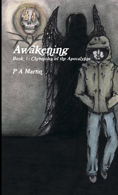 Book cover for Awakening