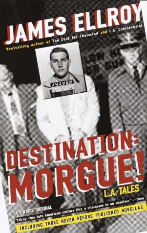 Book cover for Destination: Morgue!