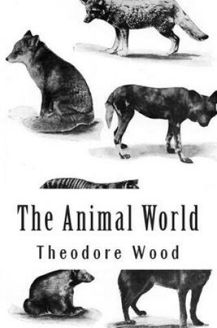 Cover of The Animal World