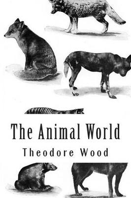 Book cover for The Animal World