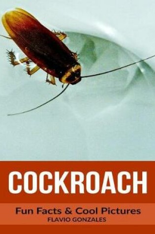 Cover of Cockroach