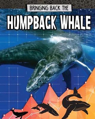 Book cover for Humpback Whale