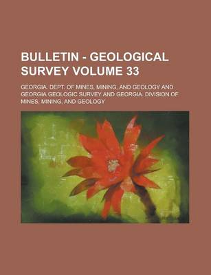 Book cover for Bulletin - Geological Survey Volume 33