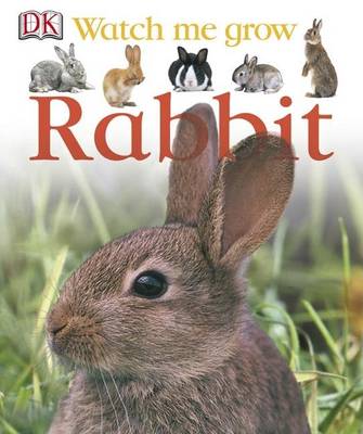 Cover of Rabbit