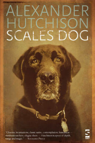 Cover of Scales Dog