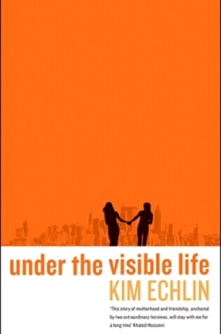 Cover of Under the Visible Life