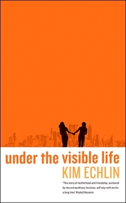 Book cover for Under the Visible Life