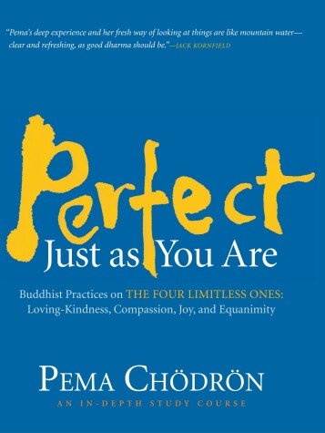 Book cover for Perfect Just as You Are