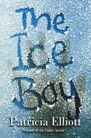 Cover of The Ice Boy