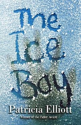 Book cover for The Ice Boy