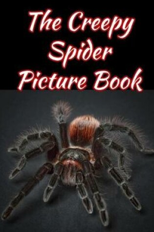 Cover of The Creepy Spider Picture Book 8.5 X 11