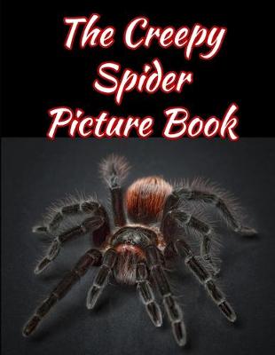 Book cover for The Creepy Spider Picture Book 8.5 X 11