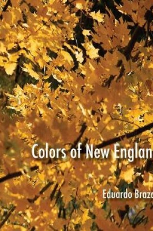 Cover of Colors of New England