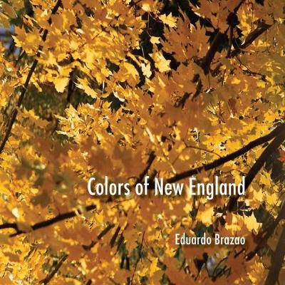 Book cover for Colors of New England