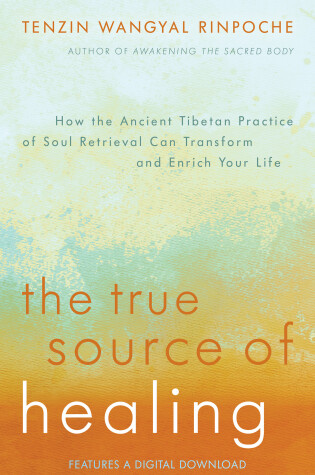Cover of The True Source of Healing