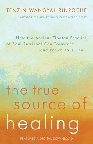 Book cover for The True Source of Healing