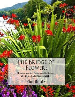 Book cover for The Bridge of Flowers