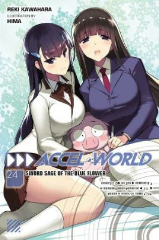 Cover of Accel World, Vol. 24 (light novel)