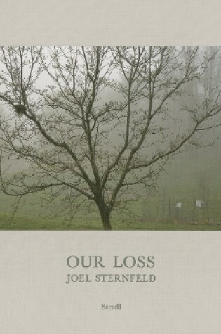 Cover of Joel Sternfeld: Our Loss