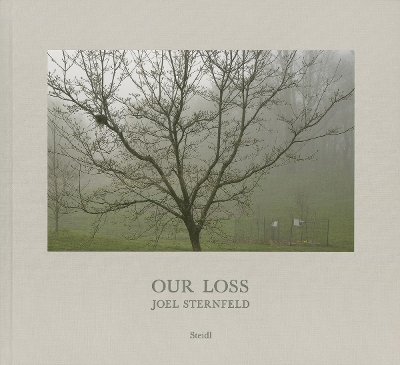 Book cover for Joel Sternfeld: Our Loss